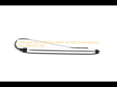 OEM Spark Plug S-R6A22 para MWM TCG 3020 GenSet Substituições 1245-3700 1237-2401